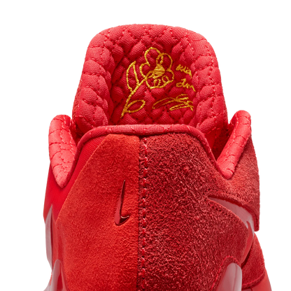 Nike LeBron NXXT Gen By JuJu EP 'With Love'
