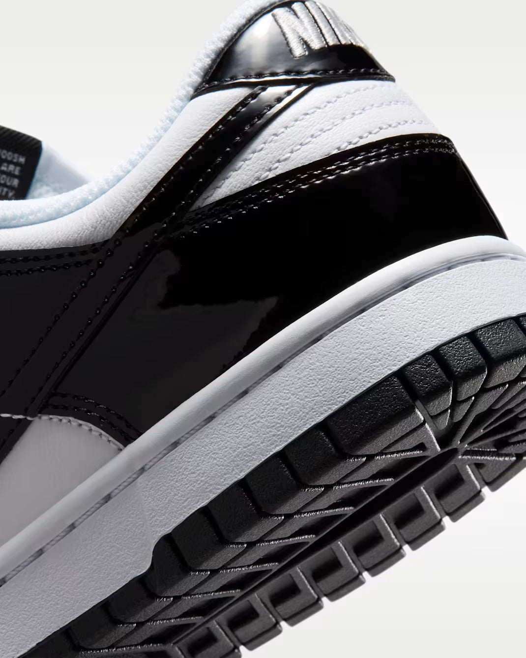 Nike Dunk Low SE "Gloss"